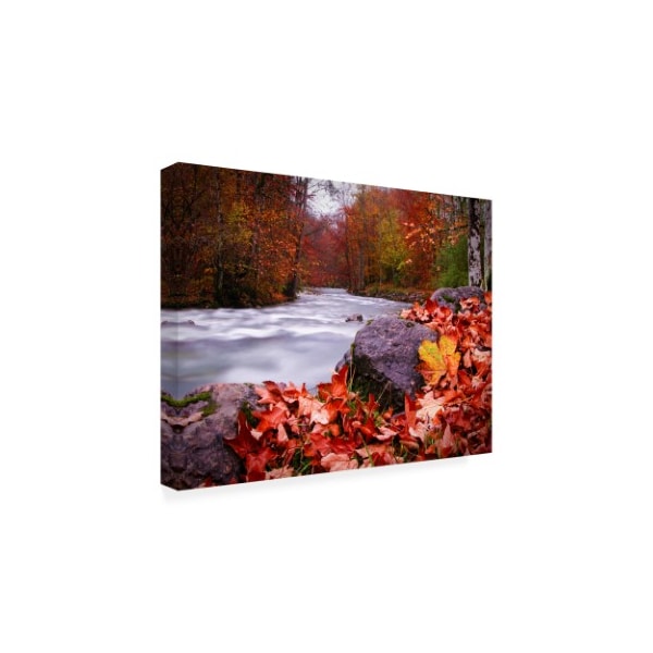 Dan Ballard 'River Rush' Canvas Art,14x19